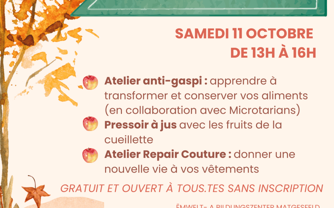 Des ateliers gratuits avec ACTE au Matgesfest !