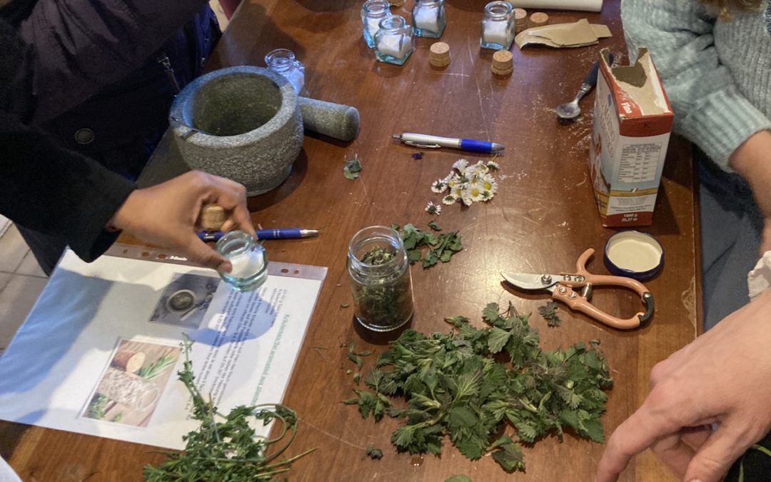 Clôture du cycle de formation sur les plantes médicinales