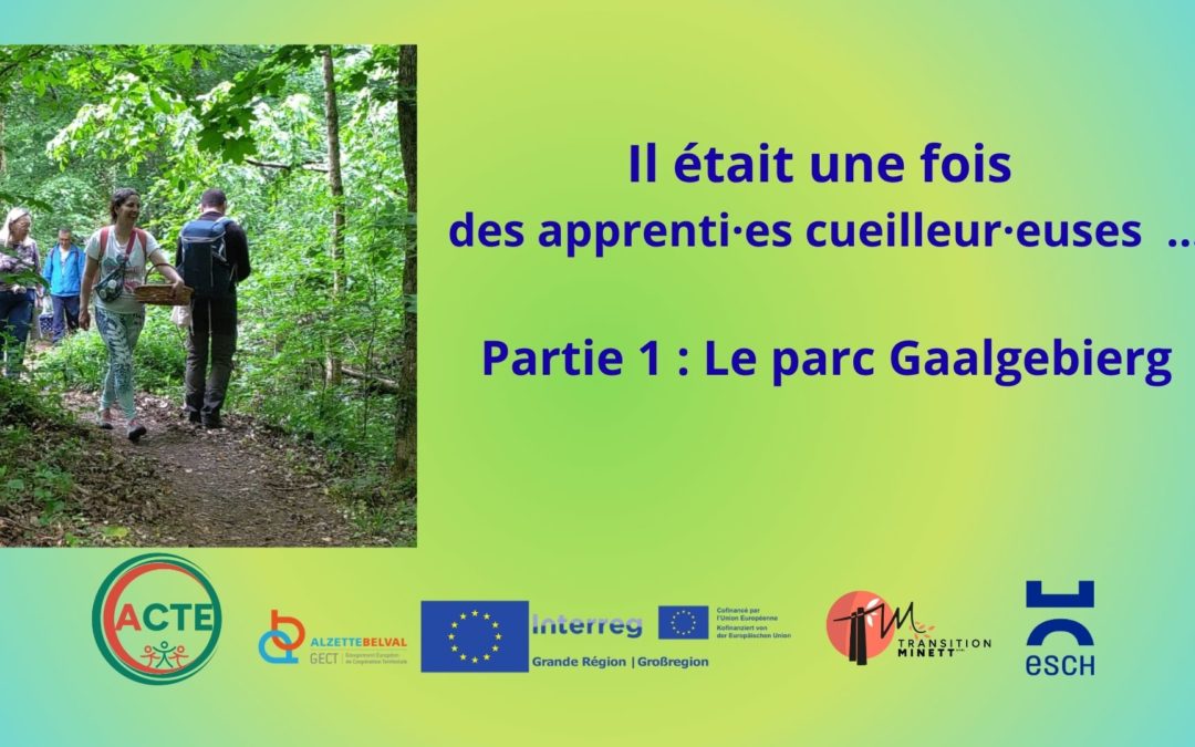 A la découverte des plantes comestibles et médicinales dans les espaces verts d’Esch-sur-Alzette