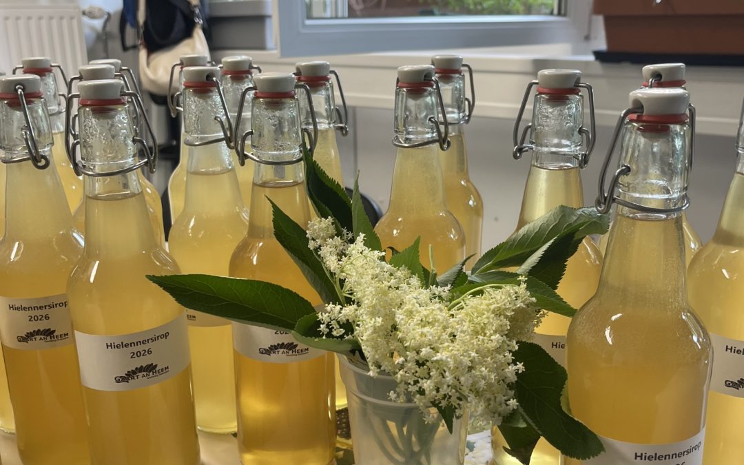 Atelier de fabrication de sirop de fleur de sureau au jardin de Matgesfeld