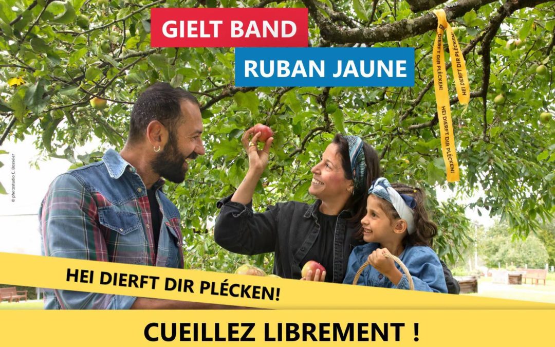 Inauguration de l&rsquo;initiative ruban jaune à Villerupt